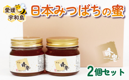 日本みつばち の 蜜 2個 セット 非加熱 宇和島農産 無添加 国産