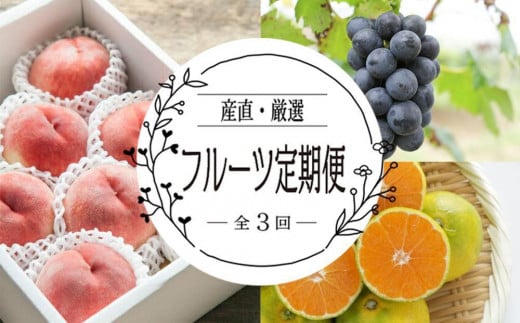 定期便全3回】産直・厳選フルーツ定期便 - 和歌山県上富田町｜ふるさと