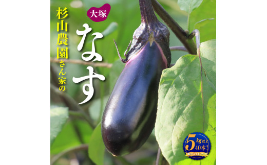ふるさと納税 山梨県 市川三郷町 [5839-9034]SIWA ラウンド