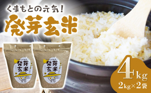 金賞受賞米使用】くまもとの元気！発芽玄米 2kg×2袋【株式会社 れんげ・カンパニー】 [ZAX003] お米 米 玄米 国産 ご飯 熊本県産 -  熊本県山鹿市｜ふるさとチョイス - ふるさと納税サイト