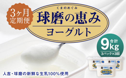 ふるさと納税 熊本県 人吉市 【6ヶ月定期便】球磨の恵み ヨーグルト