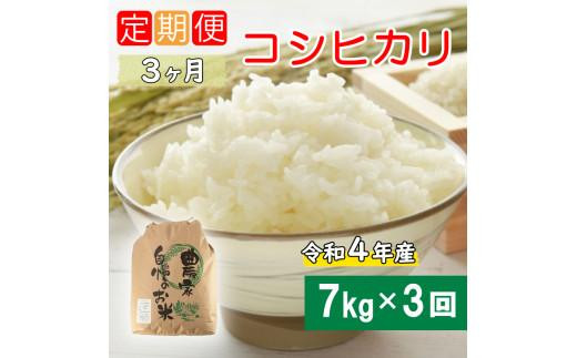 お米 令和3年 愛媛県産コシヒカリ 白米 30㎏-