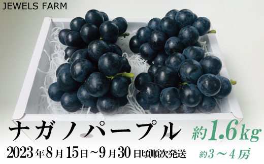 No.5657-3735]旬の美味しさギュギュっとまるごと！朝採り新鮮 産地直送