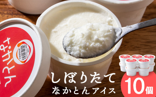 ykCڕʒzACX Zbg ACXN[ 10 Mtg XC[c