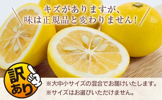 訳あり≪数量限定≫海藻木酢日向夏(計8kg以上)傷み補償分200g付き