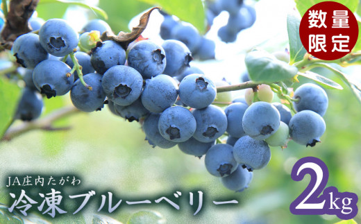 令和7年産【数量限定】JA庄内たがわの庄内産 冷凍ブルーベリー 2kg 【K