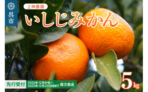 【先行受付】上神農園のいしじみかん 約5kg 広島県呉市｜ふるさとチョイス ふるさと納税サイト