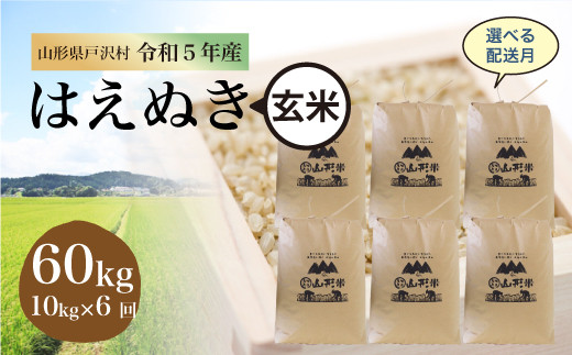 令和5年産 山形県戸沢村 厳選 はえぬき 【玄米】 60kg 定期便（10kg×1