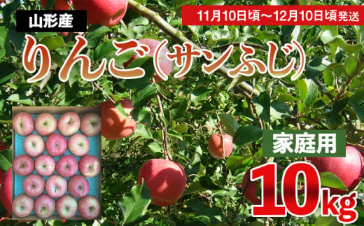 家庭用】サンふじりんご 10kg(優品)[前半] FZ22-303 - 山形県山形市