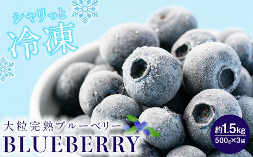 冷凍ブルーベリー1.5kg『大粒・完熟』おいしい品種厳選！ - 栃木県小山