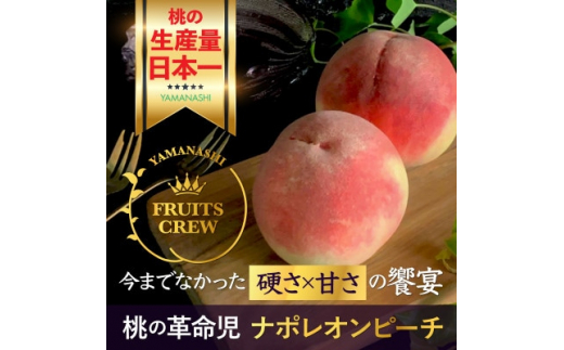 yRRsz8{菇d×Â̋ 󏭂ȃi|Is[`񓦂1N҂y1424184z