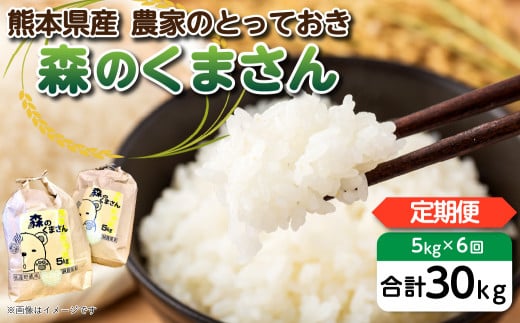 【令和5年産】 八代市産 森のくまさん 農家のとっておき 3kg×2袋