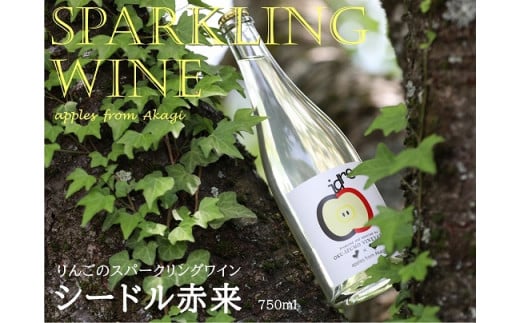 りんごのスパークリングワイン シードル赤来 750ml【 お酒 リンゴ