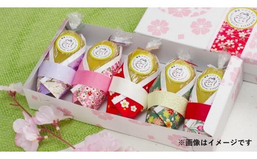 y_ސ쌧qszo₵Ă@ ԂȂ5