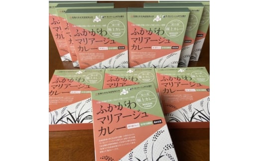 ふかがわマリアージュカレー 10個入り【1422798】