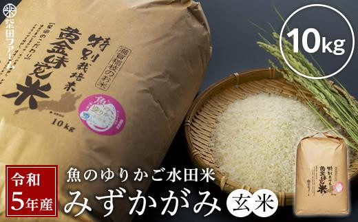 令和5年産 新米【湖魚と共に育てたお米】魚のゆりかご水田米