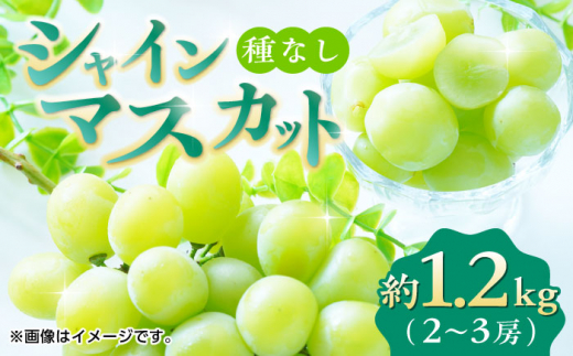 先行予約】【数量限定】 シャインマスカット 約1.2kg 2～3房 ぶどう 種なし 【合同会社 福福堂】 [ZCN006] 葡萄 ブドウ ぶどう 果物  熊本県 特産 シャイン マスカット フルーツ 種なし - 熊本県山鹿市｜ふるさとチョイス - ふるさと納税サイト