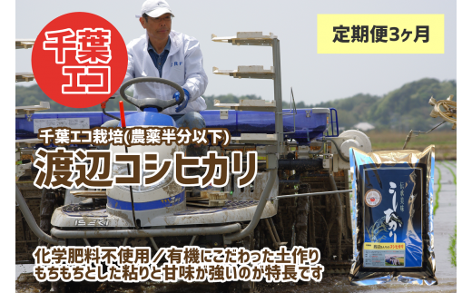 【定期便・3ヶ月】《数量限定》令和5年産 千葉県産 渡辺さんのコシヒカリ（千葉エコ栽培） 5kg