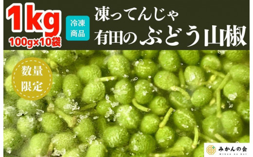 【無選別】山椒の実　100g スパイス　香辛料　ぶどう山椒　和歌山　粉山椒