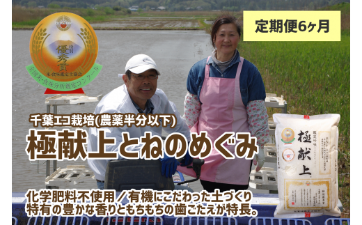 【定期便・6ヶ月】《数量限定》令和5年産 千葉県産 極献上･とねのめぐみ（千葉エコ栽培） 5kg