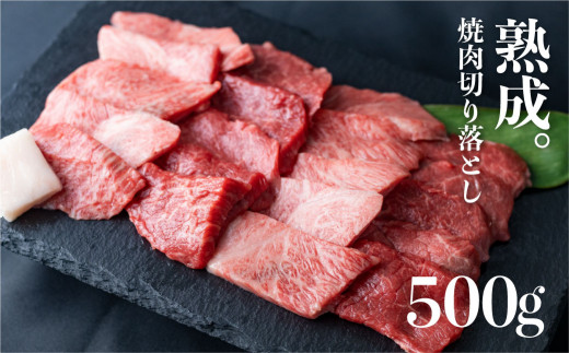 飛騨の牧場で育った熟成飛騨牛『山勇牛』焼肉 切り落とし 500g A4 A5