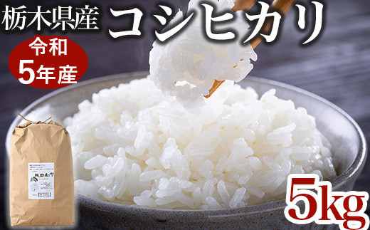 限定15セット】令和5年産お米5kg 農薬不使用 栃木県産コシヒカリ 白米