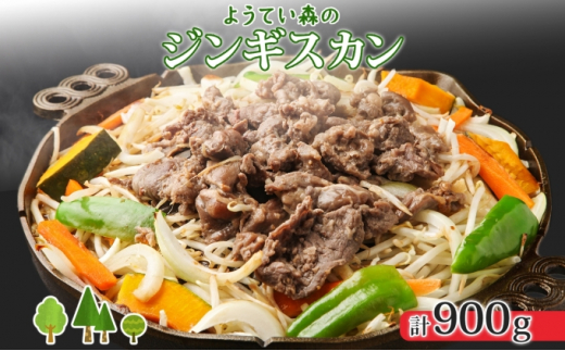 ykCmz悤ĂX̃WMXJ 300g×3pbN WMXJ O WrG  r gv BBQ p[eB[ r ē   [H H yY GAhGtT[