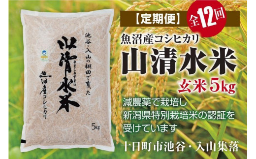 新米先行受付【定期便／全12回】玄米5kg　新潟県魚沼産コシヒカリ「山清水米」