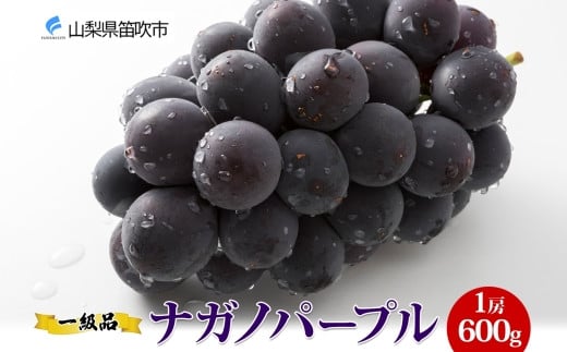 2024年先行予約＞ナガノパープル 1房 600g前後 一級品 国産 ぶどう