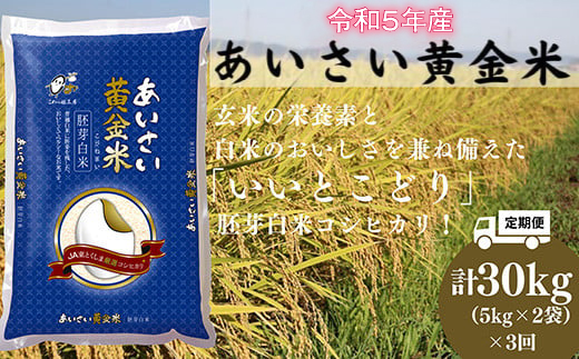 定期便 3回 白米 計 30kg 5kg × 2袋 3ヶ月 国産 徳島県 コシヒカリ