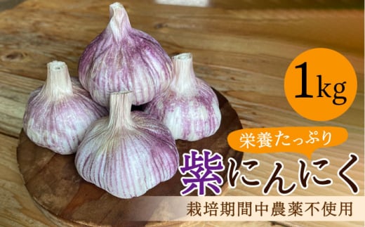 香り高い！自然栽培 紫にんにく 1kg 野菜 薬味 ニンニク 【浅田峠自然