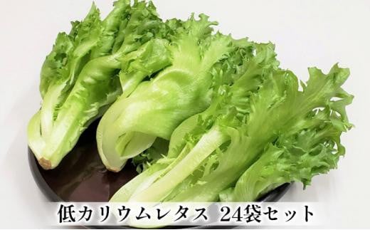yOdɉszAm^Xi[t^XjVNVLVL ͔|Ԓ_JE^X 24܃Zbg