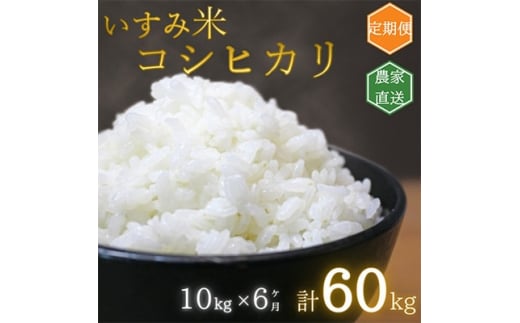 ＜毎月定期便＞千葉県いすみ市産 コシヒカリ10kg 全6回【4000624】