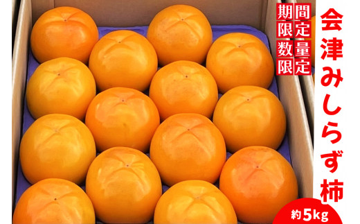 みしらず柿 5kg (季節の果物)｜2023年 会津産 フルーツ果物 かき 数量限定 [0124]