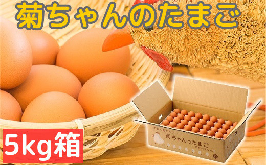 042-05 菊ちゃんのたまご5kg箱 - 鹿児島県南九州市｜ふるさとチョイス