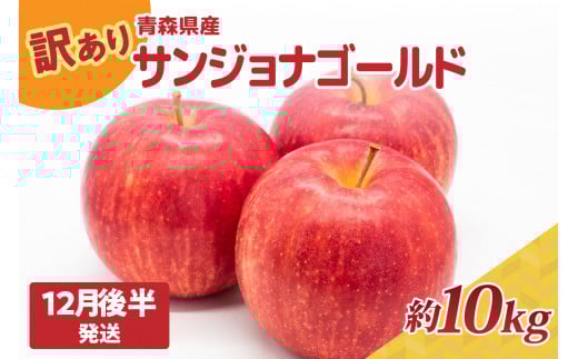 yX܏쌴sz󂠂 10kg xy2025N12㔼zTWiS[h X sS
