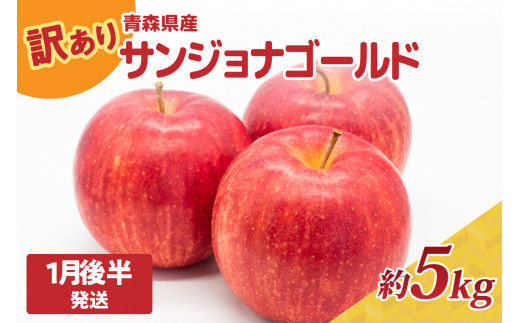 yX܏쌴sz󂠂 5kg xy2026N1㔼zTWiS[h X|sS