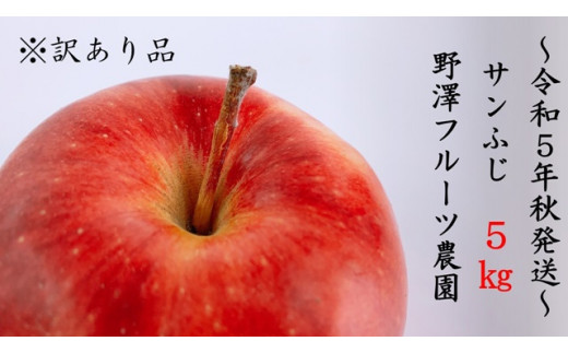 10-168 ～先行予約～ ※訳あり りんご：サンふじ 10kg【双葉農園