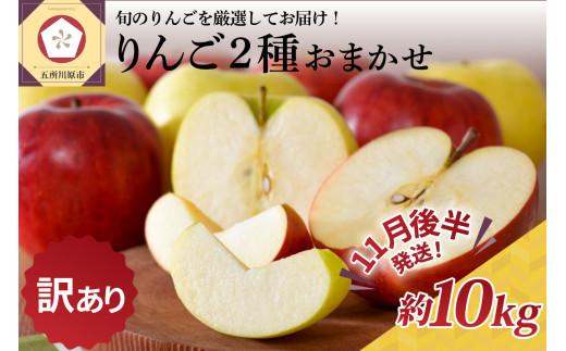 【青森県五所川原市】【2025年11月後半発送】 【訳あり】 りんご 約10kg 青森産 品種おまかせ2種以上