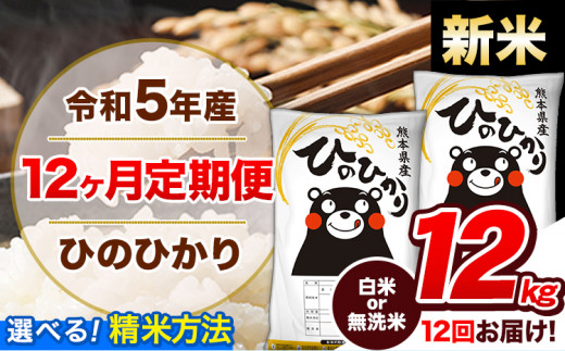 ふるさと納税 あさぎり町 【令和5年産熊本県産 ひのひかり】白米10キロ-