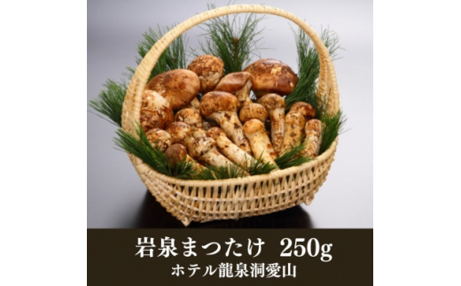 ≪産地直送≫　岩泉まつたけ 250g【1423712】