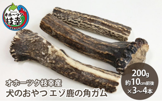 犬のおやつ エゾ鹿の角ガム200g（約10cm前後×3～4本）【オホーツク枝幸