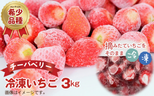 No.317 【希少品種】冷凍いちご（チーバベリー）約3kg ／ 苺 イチゴ フローズン フルーツ 果物 千葉県 特産品