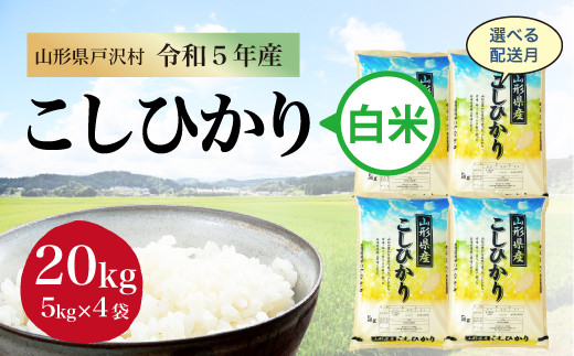 令和5年産 コシヒカリ 【白米】 20kg（5kg×4袋） ＜配送時期指定可