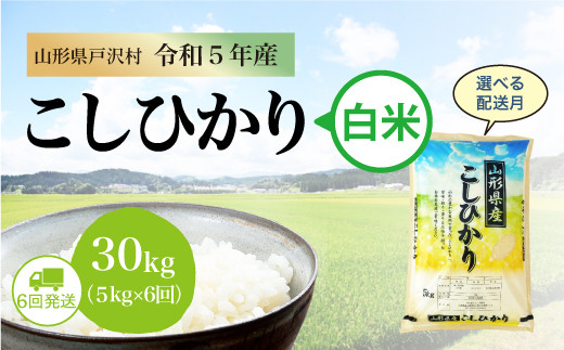 令和5年産 コシヒカリ 【白米】 定期便 30㎏（5kg×1カ月間隔で6回お