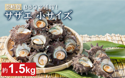 サザエ さざえ 約1.5kg Bサイズ(60g〜100g/個) 壱岐市 【マルショウ