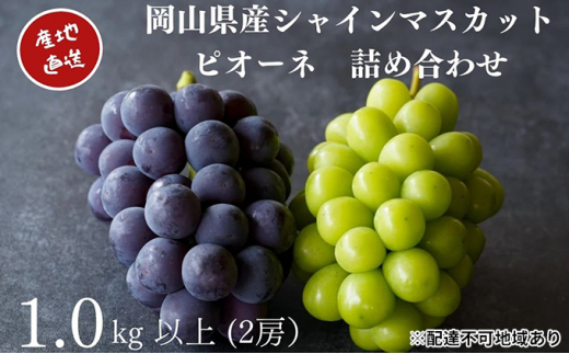 yRzI VC}XJbgEj[sI[l 2[ v1.0kgȏ l Yn ̂ Ԃǂ  Kawahara Green Farm RY 2026N ʕ t[c W[V[ 嗱 Hׂ₷