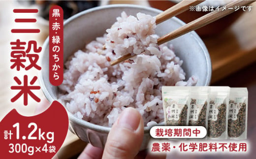自然栽培米ꕤ玄米 20kg 古代米黒米赤米緑米入り 佐賀県産 ヒノヒカリ-