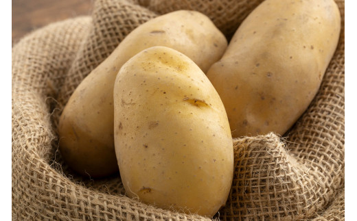じゃがいも（メークイン） 約10kg 【2025年9月上旬～2026年1月下旬発送