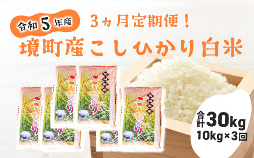 S246 【3ヶ月定期便】令和5年産 茨城県 境町産 こだわり「こしひかり